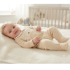 BW-13-440: Baby Unisex Dinosaur Smocked Velour All In One (NB-6 Months)